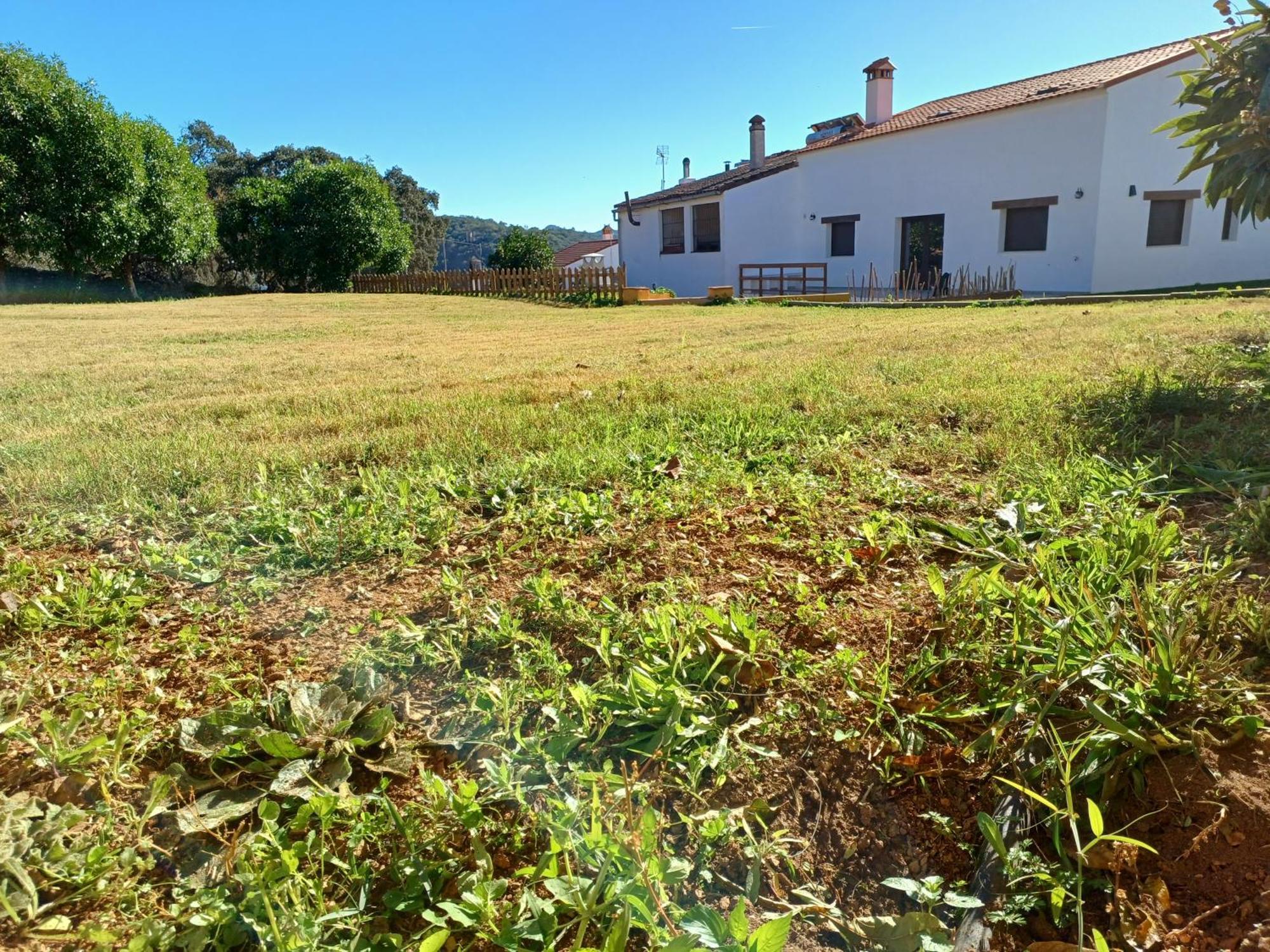 El Pico De Aroche Villa Eksteriør billede